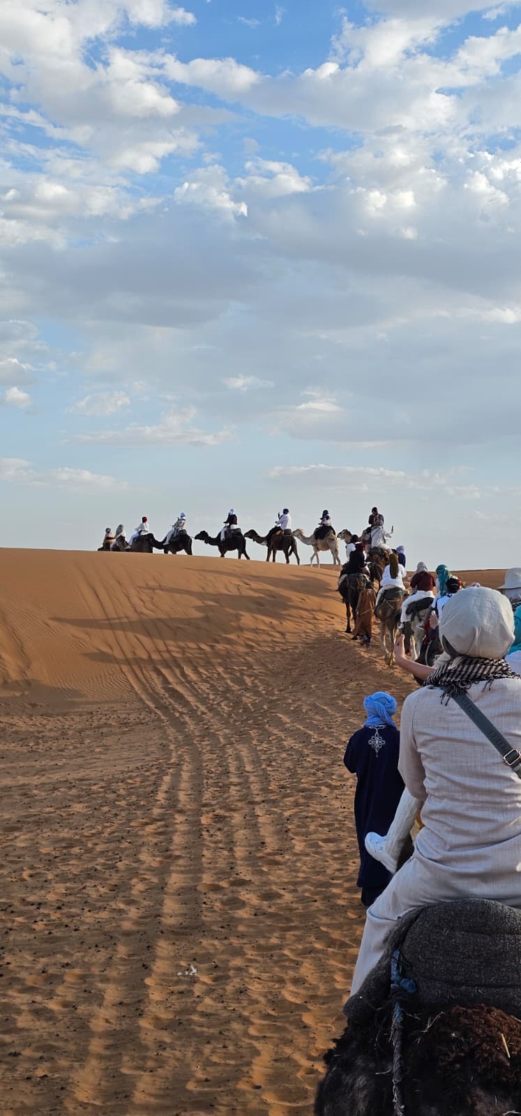 Sahara caravan with real customer group, Morocco